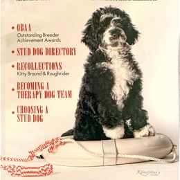 Portuguese Water Dog Puppies from Allegiance Portuguese Water Dogs