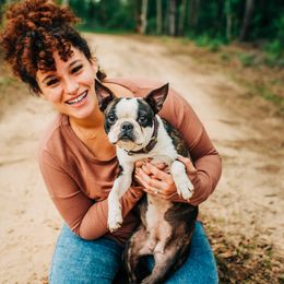 Penny - Boston Terrier