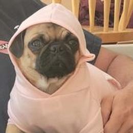 Big Mama - Pug