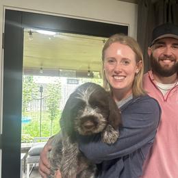 Mo - Brown and gray male Wirehaired Pointing Griffon puppy in Fort Collins, Colorado from Gypsy Creek Griffons