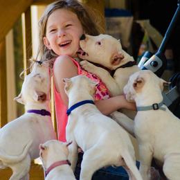 Dogo Argentino and Pembroke Welsh Corgi Puppies from Storm Dogos & Country Corgis