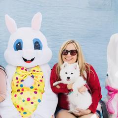 American Eskimo Dog Puppies from Colleen’s Eskimos