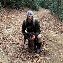German Shorthaired Pointers and Rhodesian Ridgebacks from Kandarin Kennels