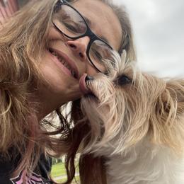 Harley - Morkie