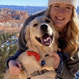 Golden Retriever Puppies from Sadie Lane Family Goldens