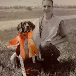 Lucy - Chesapeake Bay Retriever