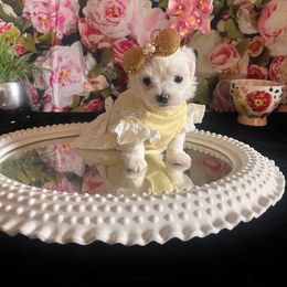 Assorted Doodle Crosses, Maltese, and Poodle Puppies from House of Poodles