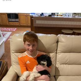 Goldendoodle Puppies from Labradoodleday