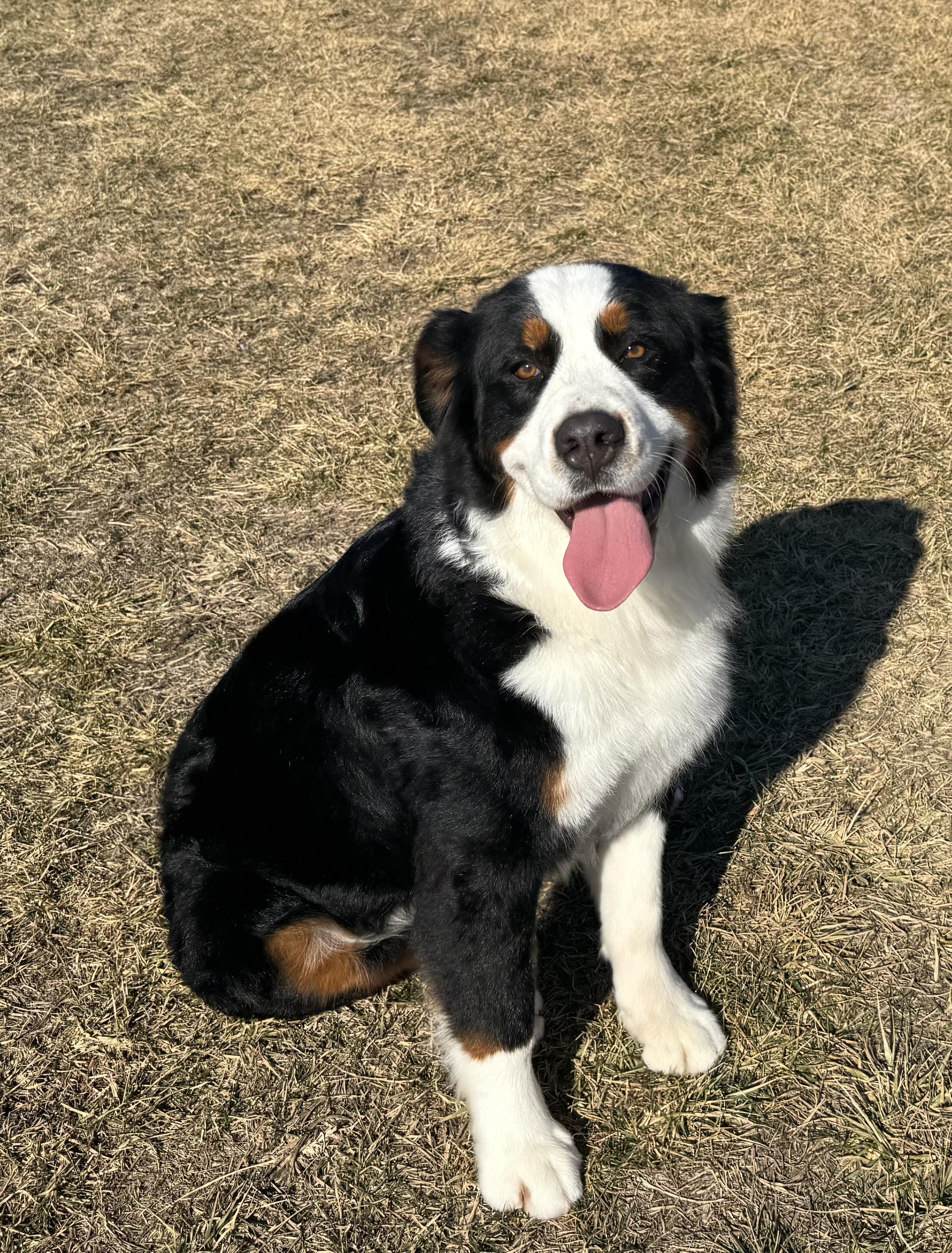 Juno