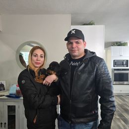 Silver - Black and mahogany male Rottweiler puppy in Lebanon, Oregon from SOUTH SANTIAM ROTTWEILERS