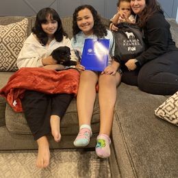 Rottweiler Puppies from KarmaKennelPNW