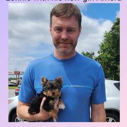 Biewer Terrier and Yorkshire Terrier Puppies from Southeast Biewers