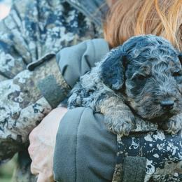 Timmy - Blue merle male Aussiedoodle puppy in Yacolt, Washington from Aussiedoodles by Maggie