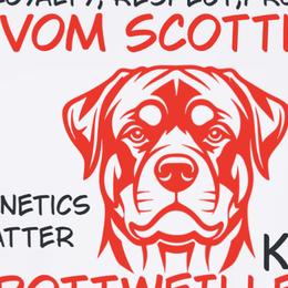Rottweilers from Scottline kennelz