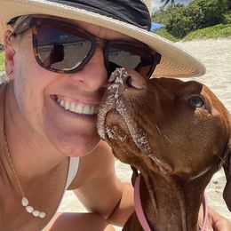 Vizsla All Grown Up from Alaea Farm & Kennel