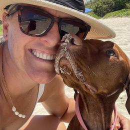 Vizsla All Grown Up from Alaea Farm & Kennel