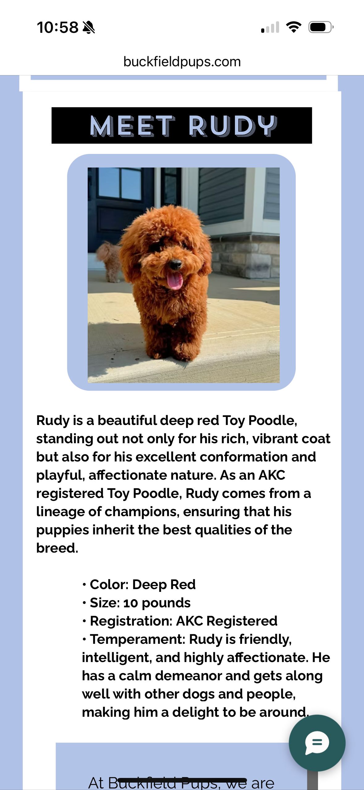 Rudy