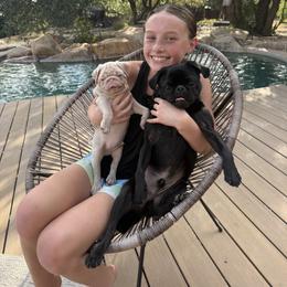 Pug Puppies from Pug Perfection Puppies