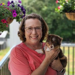 Toy Australian Shepherd Puppies from Reflections of Star Crest Kennel