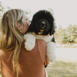 Newfoundland Puppies from Rainshadow Newfoundlands