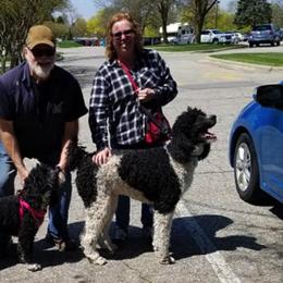 Poodles from Tinker’s Poodles