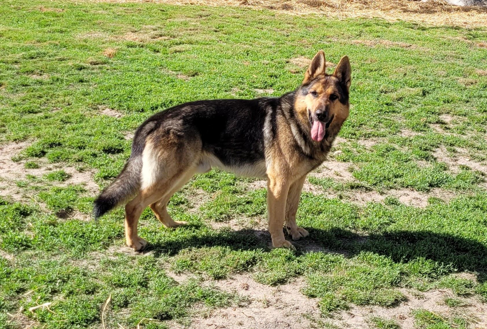 Coda