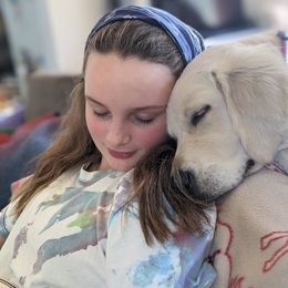 Goldendoodle and Golden Retriever Puppies from Goldens and Doodles of MN