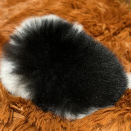 Pomeranian Puppies from Country Lane Kennels