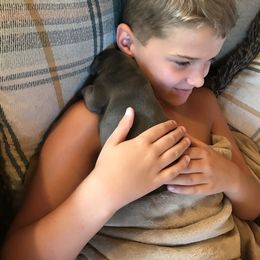 French Bulldog Puppies from Crooked C Ranch