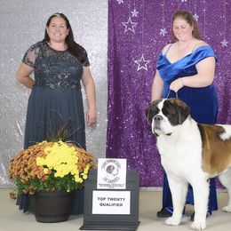 Saint Bernards from Metal Saints