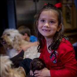 Goldendoodle Puppies from Suwanee Goldendoodles