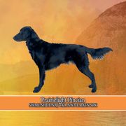 Tana - Flat-Coated Retriever