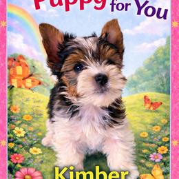 Kimber - Black tan and white female Biewer Terrier puppy in Jefferson County, Ohio from ORBiT Ohio River Biewer Terriers
