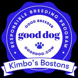 Boston Terrier Puppies from Kimbo’s Bostons