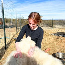 Great Pyrenees Puppies from Outlaw Acres Kennels