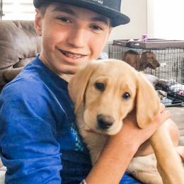 Golden Retriever and Labrador Retriever Puppies from All Around Retrievers