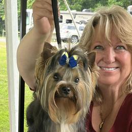 Yorkshire Terriers from StarBornYorkies