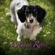 Wynter Reese