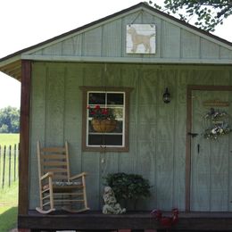 Goldendoodle Puppies from Peachy Sweet Goldendoodles