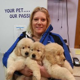 Golden Retriever Puppies from SUN-GOLDEN KENNELS