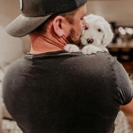 Sheepadoodle Puppies from DOODCompany