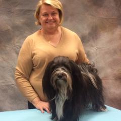 Havana Silk Dogs from Zigfield Havana Silk Dogs