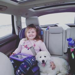 Colorado Mountain Dog Puppies from Painted Horizon Acres