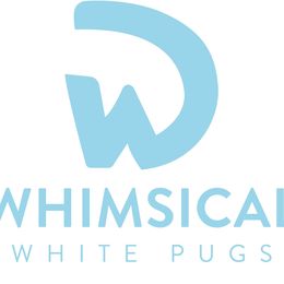 Pugs from Whimsical White Pugs
