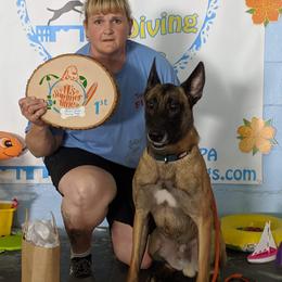 Belgian Malinois puppies from Red Rocket Malinois
