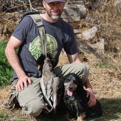 Trix - English Cocker Spaniel