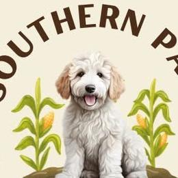 Goldendoodles from Southern Paw Breeding Co