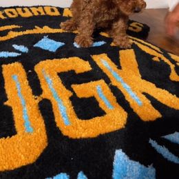 LoveBud - Red  male Poodle puppy in Bakersfield, California from Underground kennels