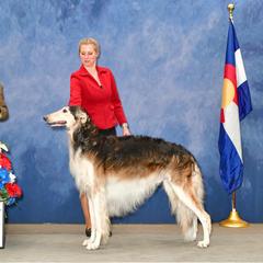 Lucky Strike - Borzoi