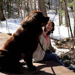 Newfoundlands from Cedar Newfoundlands